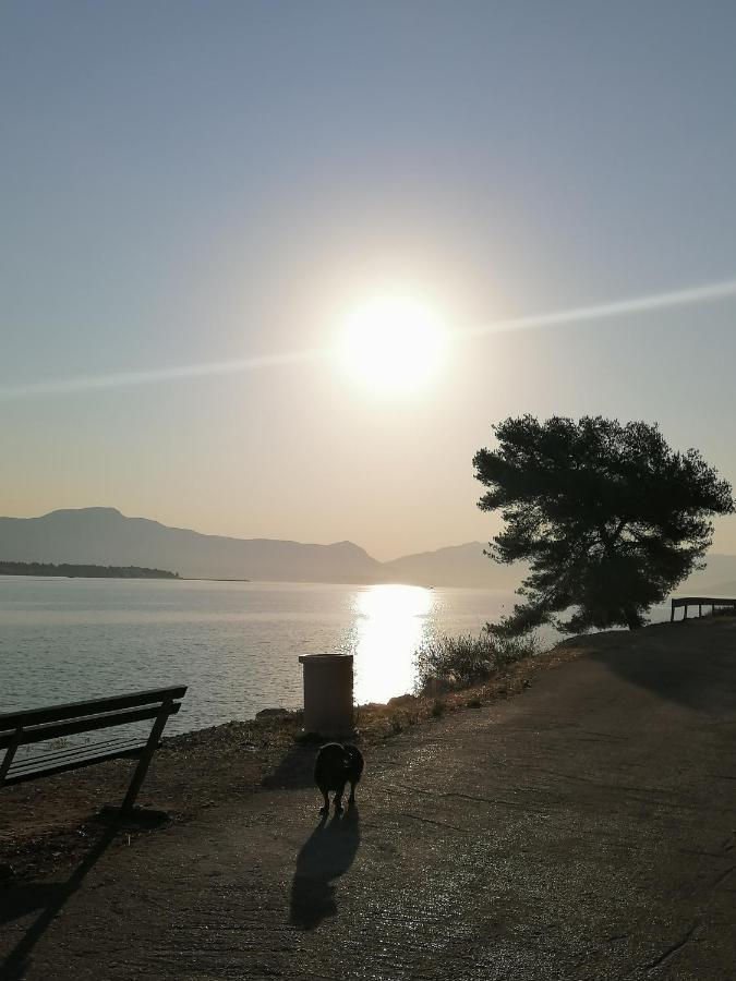 Apartmani Barnjak Trogir Exterior photo